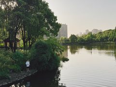 -成都南湖公园