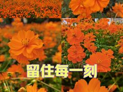 -北海公园
