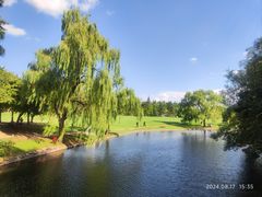 -上海共青森林公园