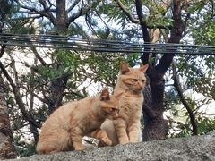 -崂山巨峰游览区
