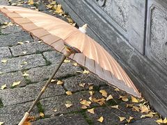 -苏州上方山国家森林公园