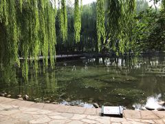 -玲珑塔公园