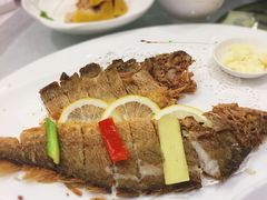 -骏莱海鲜鱼港(五角场店)