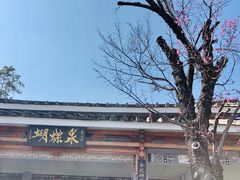 -蝴蝶泉公园