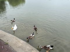 -太阳宫公园