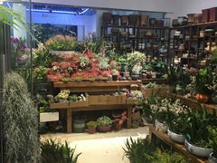 -双季花艺园艺市场(浦东店)
