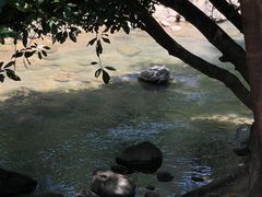 -广州白江湖森林公园