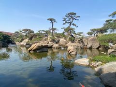 -罗红摄影艺术馆