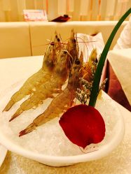 -莲芸拔罐减肥