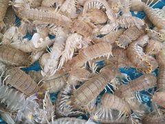 -盛华世家商业广场农贸水产综合批发市场