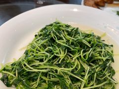 鸡油豆苗-羲和雅苑•北京烤鸭(乐园道万象城店)