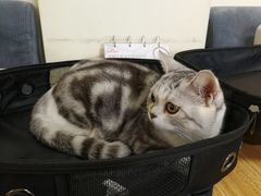 -美联众合动物医院·24h京西诊疗中心