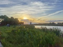 -春花秋色城市公园