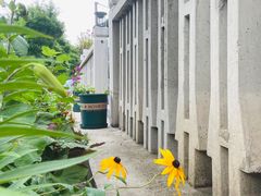 -白河湾山水缘民宿