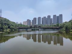 -重庆彩云湖湿地公园