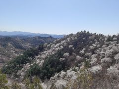 -蟠龙山长城景区