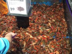 麻辣小龙虾-盒马鲜生(岭南新世界店)