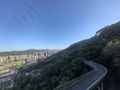 -福道