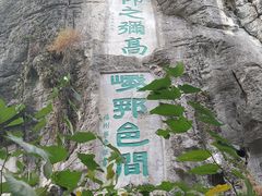 -椿记烧鹅(叠彩店)