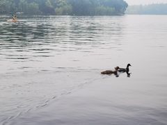 -西湖外事游船(花港观鱼码头)