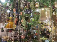 -循礼门鲜花花市(武汉循礼门店)