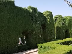 -阿尔罕布拉宫