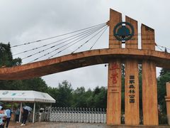-五营国家森林公园