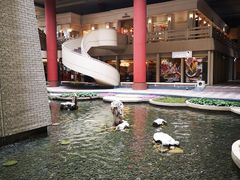 -上海波特曼丽思卡尔顿酒店