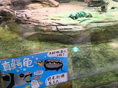 -正佳雨林生态植物园