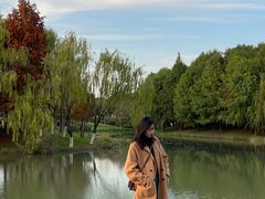 -尚贤河湿地