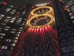 -影汇之星8字形摩天轮