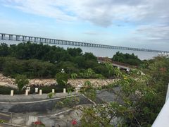 -宝安西湾红树林湿地公园