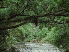-广州市石门国家森林公园