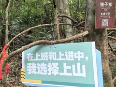 -七仙岭温泉国家森林公园