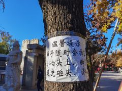 -北京石刻艺术博物馆(五塔寺)
