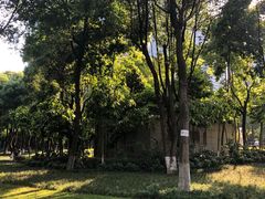 -重庆市江北嘴中央商务区中央公园