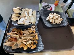 -蘑统田下·野生菌火锅