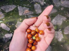 -碓臼峪自然风景区