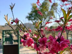 -南北湖风景区