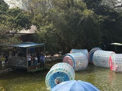 -青青世界