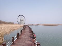 -苏州太湖湖滨国家湿地公园