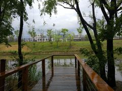 -新江湾城公园