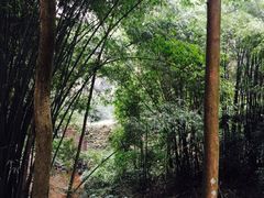-凤栖山