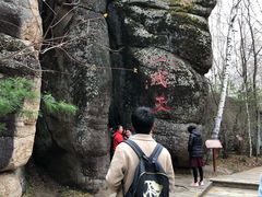-汤旺河林海奇石景区