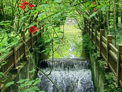 -桤木河湿地公园