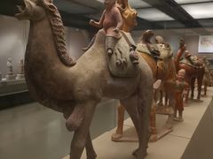 -西安大唐西市博物馆