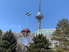 -龙塔