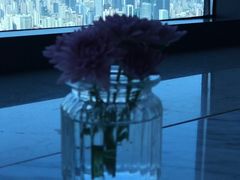 -上海龙之梦万丽酒店