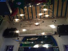 -Sirena海妖日咖夜酒