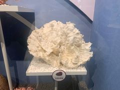 -中国湿地博物馆